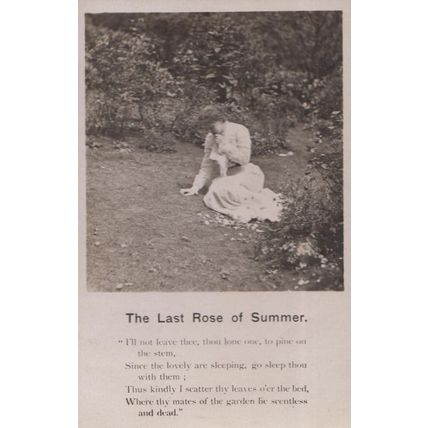 The Last Rose Of Summer Sad Flower Songcard Real Photo Roses Song Postcard