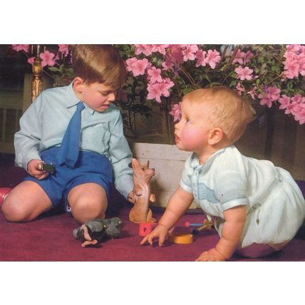 Prince Andrew Edward Playing with Rattle Toy Fox Postcard
