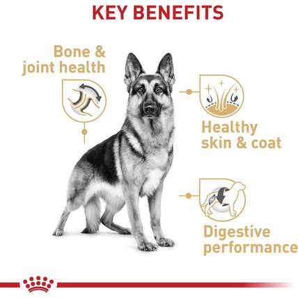 Royal Canin German Shepherd Adult Dry Dog Food, 30 Lb Bag