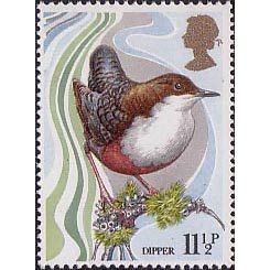 Great Britain 1980 Wild Birds 11½p Dipper Unmounted Mint NHM SG 1110 Sc885 stamp