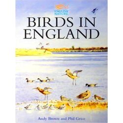 Birds In England