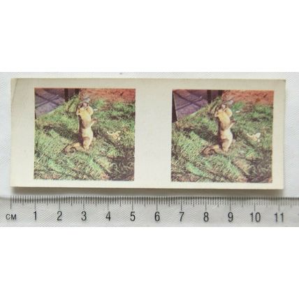 1960s Weetabix 3-D Animal Card No. 7 Kinkajou