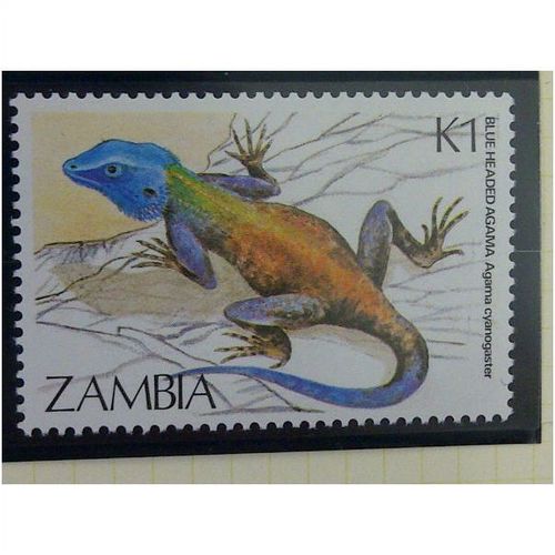 Zambia QEII 1984 Reptiles K1 Blue Headed Agama Mint MNH SG 415 Sc 311 stamp