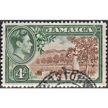 JAMAICA, 1938-51 4d George VI Citrus Groove, SG 127 (Scott #122), good used.