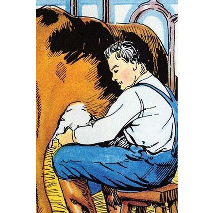 Milking the Cow 20 x 30 Poster