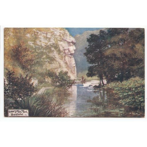 Lion's Face Rock Dovedale Artist Signed Jotter 1903 Oilette Art Postcard