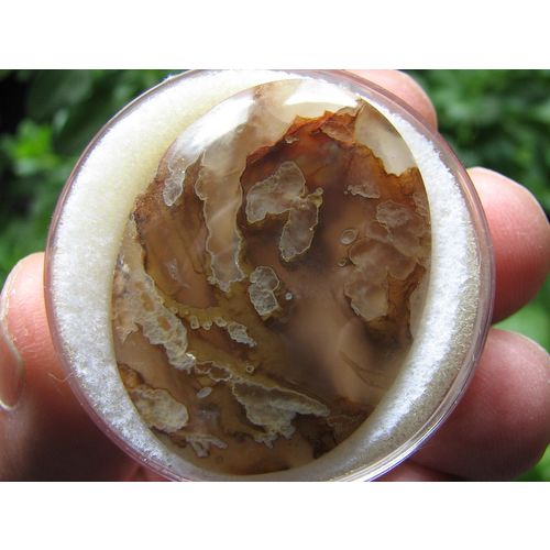 Quant Tube Agate Oval Cabochon: Fantastic Outlined Tubes; Old Oregon Variety