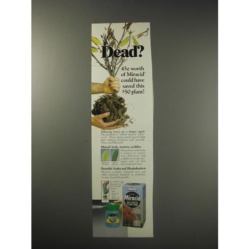 1991 Miracle-Gro Miracid Ad - Dead?