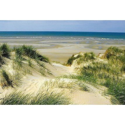 XCL 13: Littoral: Sand Dunes