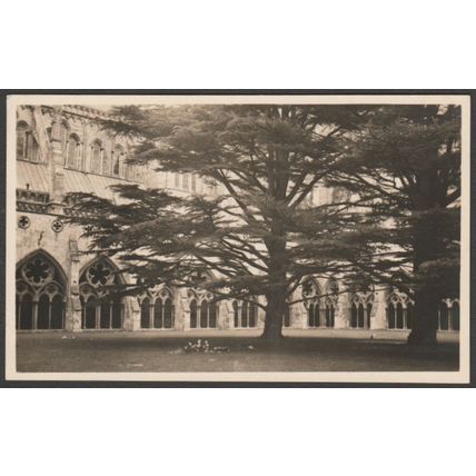 Salisbury Cathedral, Wiltshire, c.1940s - RP Postcard