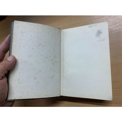 RARE* 1908 ELIZABETH J LYSAGHT "BROTHER AND SISTER" FICTION ANTIQUE BOOK (P4)