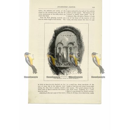 Rochester Castle (Norman), Kent, England, Book Illustration (Print), 1891