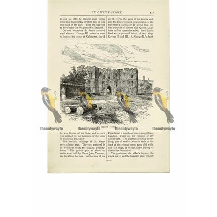 St Osyth's Priory, Essex, England, Book Illustration (Print), 1891