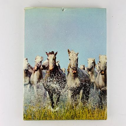 Anne Alcock - The Love Of Horses Hardcover Book