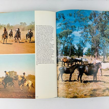 Anne Alcock - The Love Of Horses Hardcover Book