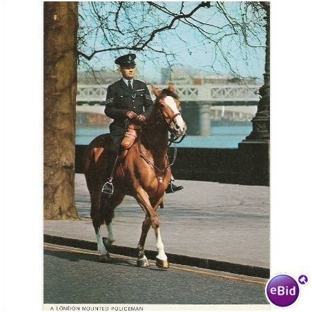 London - Mounted Policeman on Embankment 1973 postcard