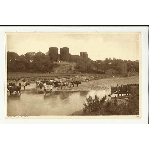 Wales RHUDDLAN CASTLE Postcard by Greys (9295)