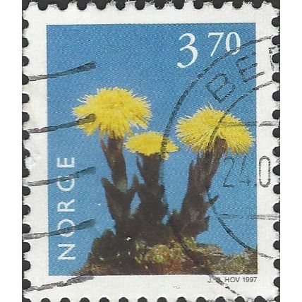NORWAY, FLOWER, Coltsfoot, Tussilago farfara, blue 1997, 3.70Kr, #2