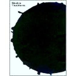 We Are the World: Venice Biennale 2003