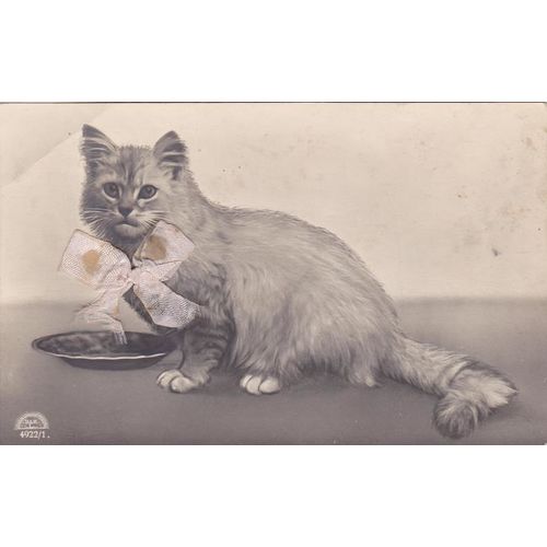 A Cat Wearing A Pink Bow Postcard (AN074)