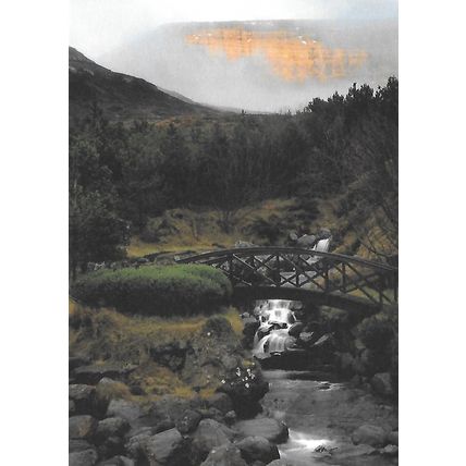 Posta: Europa: The forest