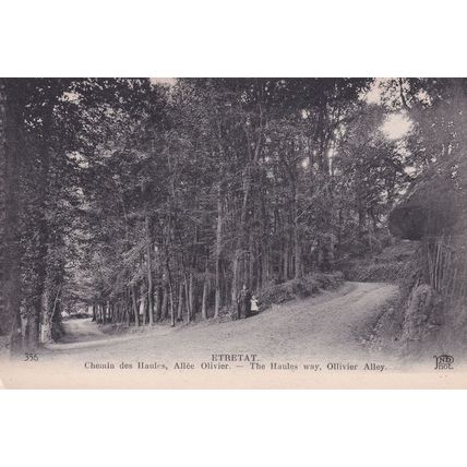 Etretat Chemin Des Haules Allee Olivier Old French Postcard