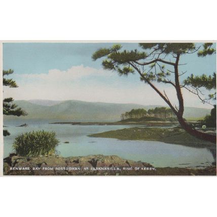 Kenmare Bay Parknasilla Ring Of Kerry Irish Postcard