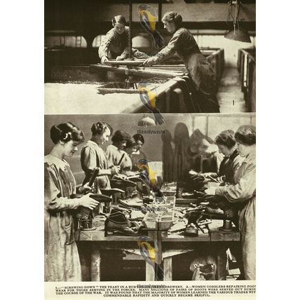Women At Work During The Great War (6), And On Reverse, Book Illustration. 1936