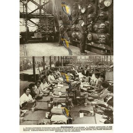 Women At Work During The Great War (4), And On Reverse, Book Illustration, 1936