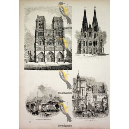 Architecture, Notre Dame, Paris & Orleans, Cologne, Book Illustration, 1850