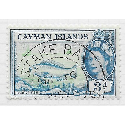 CAYMAN ISLANDS 1953 QE2 PARROT FISH USED SG154 154 SG STAKE BAY PMK