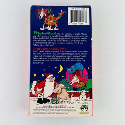 What a Mess - Here Comes Santa Paws VHS Video Tape Movie
