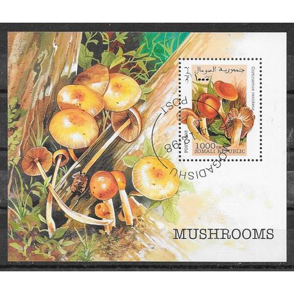Somalia 1998 VEGETAUX LES CHAMPIGNONS BLOC OBLITERE ( USED )