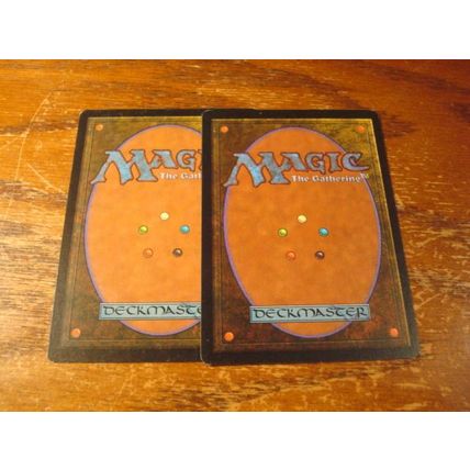 Magic the Gathering, MTG, 2-cards, 1996, VILLAGE ELDER