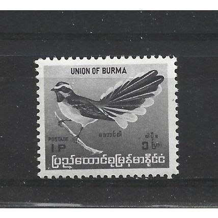 Burma.SG174 1p White-browed Fantail.Mounted Mint.Jul25b
