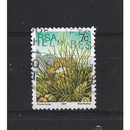 SouthAfrica.SG420 7c Protea Lorea.Fine Used.Sep25f