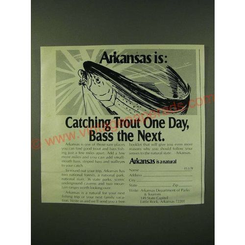 1978 Arkansas Department of Parks & Tourism Ad - Arkansas is: Catching trout