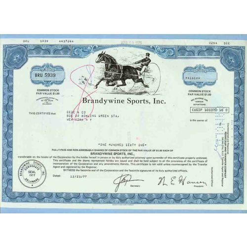 DE na Stock Certificate Company: Brandywine Sports, Inc. ~13