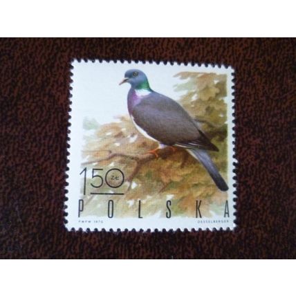 Poland 1970 Game Birds Wood Pigeon mint stamp SG1972