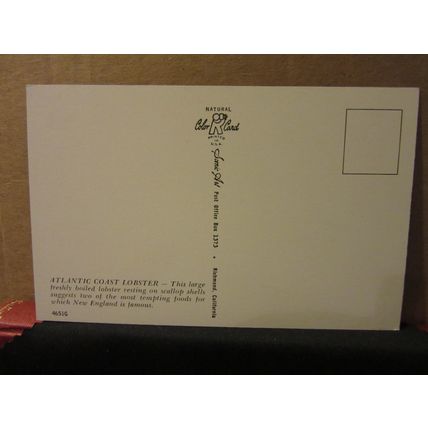 ATLANTIC COAST LOBSTER, NEW ENGLAND, USA unused postcard =
