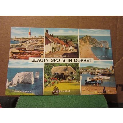 BEAUTY SPOTS IN DORSET county multiview unused postcard by J. Salmon