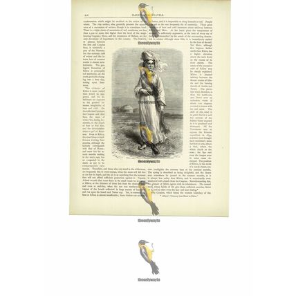 Girl Of Bokhara (Bukhara), Uzbekistan, Book Illustration (Print), c1880