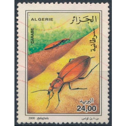 Insects: 24d - Algeria 2000 - F H - MiNr 1311