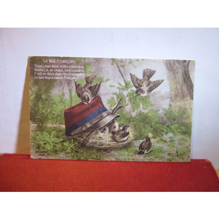 YOUNG birds unused antique French greetings postcard =