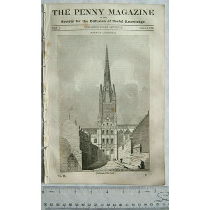 1835 The Penny Magazine No. 193 Norwich, Hackfall, humming bird, Aretian Wells