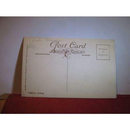 PONT-Y-PAN, BETWS-Y-COED, WALES unused postcard by J. Salmon =