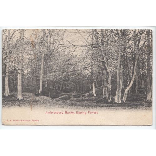 Ambresbury Banks Epping Forest Essex J C Odell Local Publisher Postcard