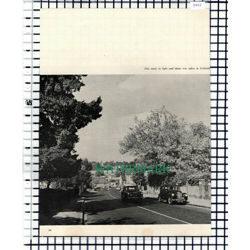 (8462) Uckfield Sussex / Greyfriars Winchelsea Friary - 1965 Cutting