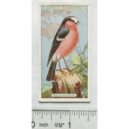 1939 Ogdens British Birds cut-out No. 3 Bullfinch