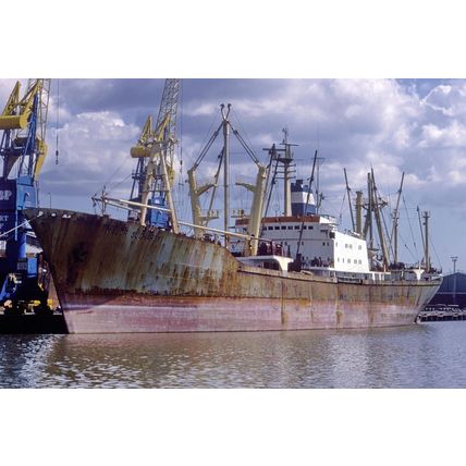 SQ2091 - Polish Cargo Ship - Major Sucharski , built 1974 - photograph 6x4
